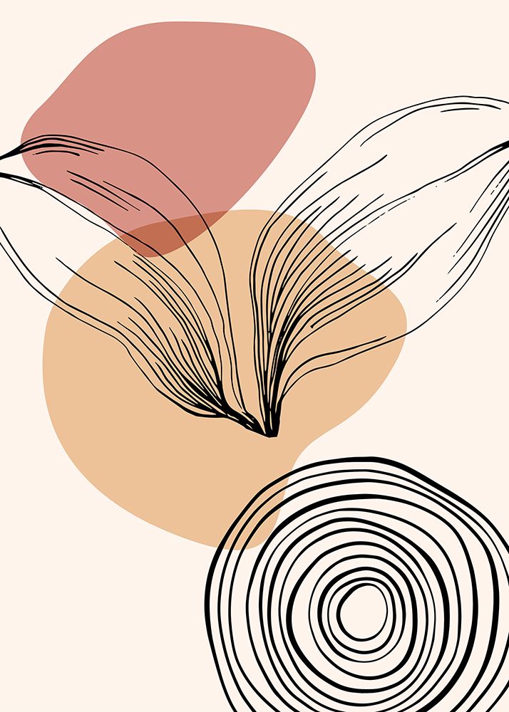 Plantas de Jojoba III — AcantStudio