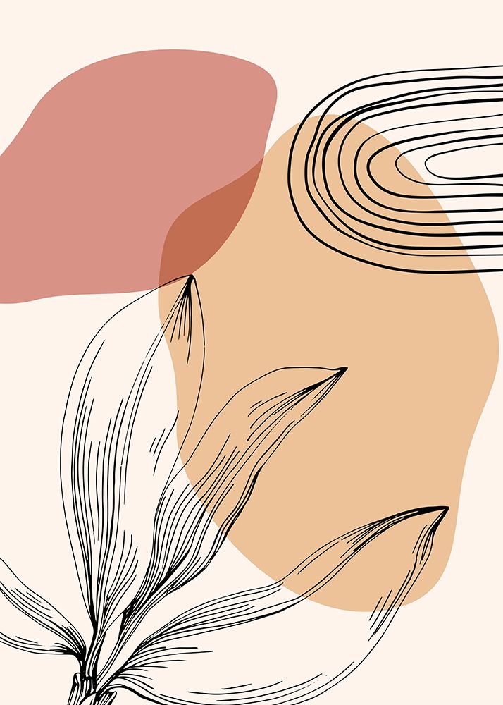Plantas de Jojoba IV — AcantStudio