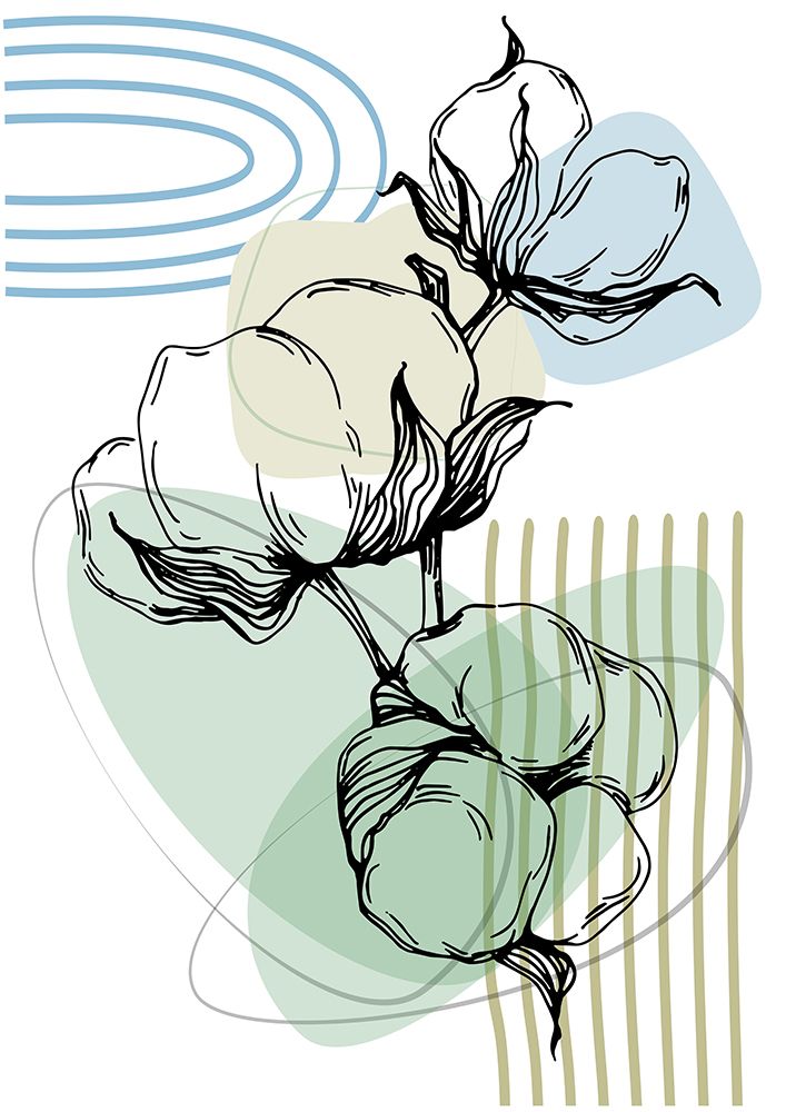 Flores de Algodão Minimalistas II — AcantStudio
