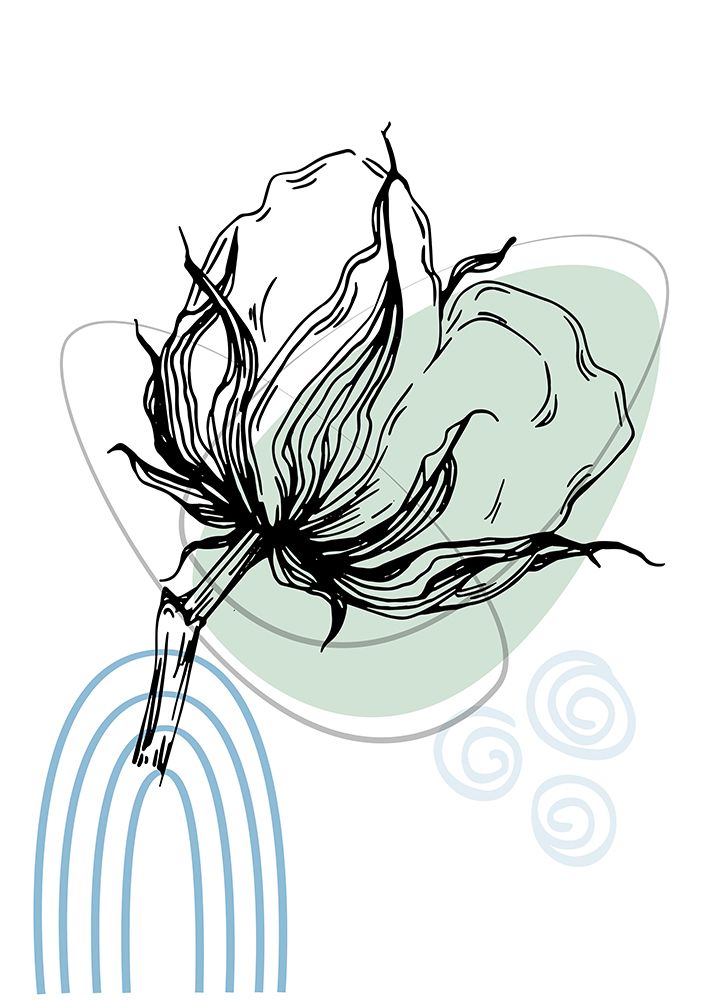 Flores de Algodão Minimalistas III — AcantStudio