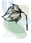 Flores de Algodão Minimalistas IV — AcantStudio