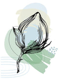 Flores de Algodão Minimalistas V — AcantStudio
