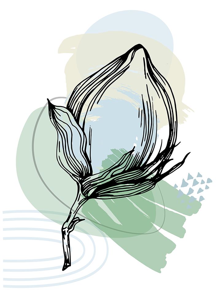 Flores de Algodão Minimalistas V — AcantStudio