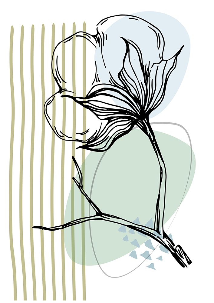 Flores de Algodão Minimalistas VI — AcantStudio