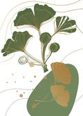 Ginkgo 2 — AcantStudio