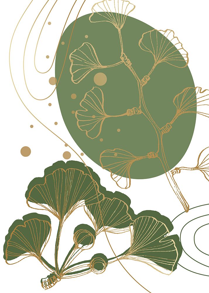 Ginkgo 3 — AcantStudio