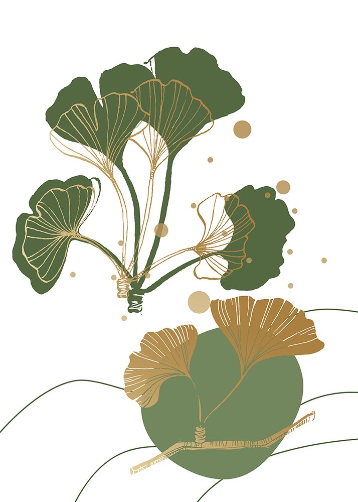 Ginkgo 4 — AcantStudio