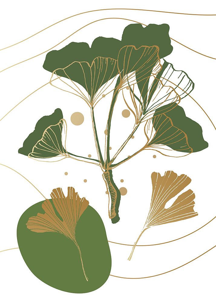 Ginkgo 5 — AcantStudio