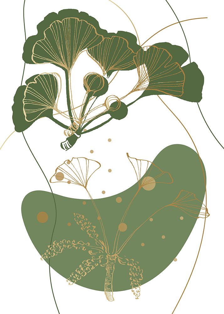 Ginkgo 6 — AcantStudio