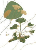 Ginkgo 7 — AcantStudio