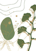 Ginkgo 8 — AcantStudio