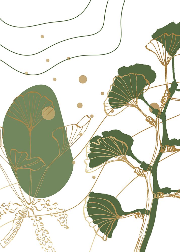 Ginkgo 8 — AcantStudio