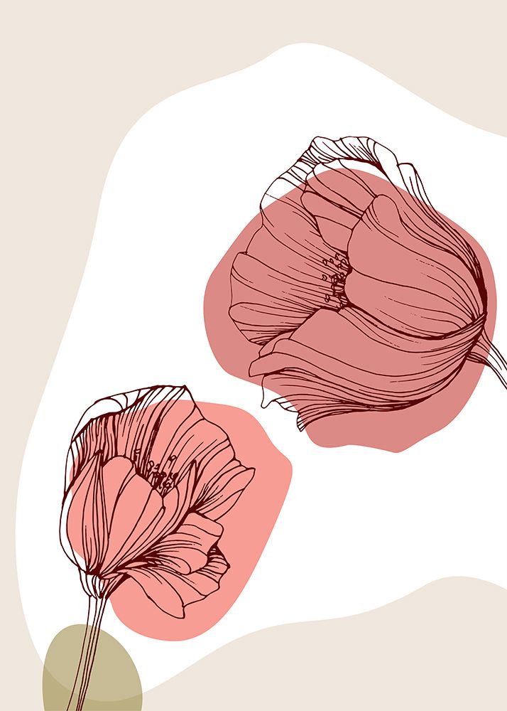 Papoula 14 — AcantStudio