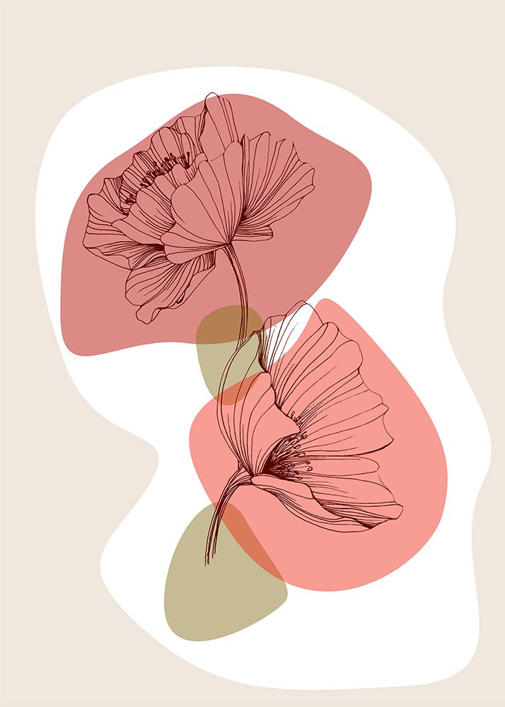 Papoula 15 — AcantStudio