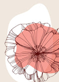 Papoula 16 — AcantStudio