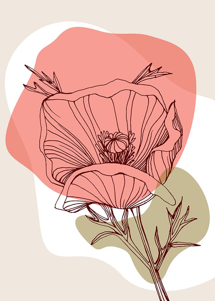 Flor de Papoula 1 — AcantStudio
