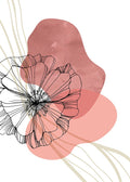 Papoula Nórdico — AcantStudio