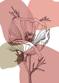 Papoula Floral — AcantStudio