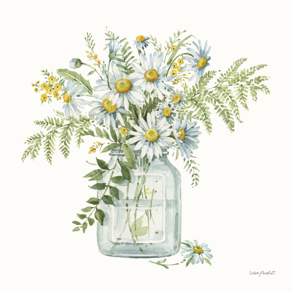 Margarida Fofa III — Audit, Lisa