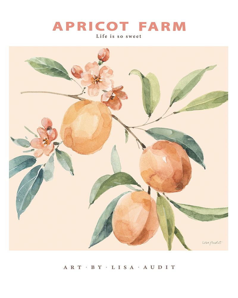Doces do Sul II — Audit, Lisa