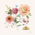 Caderno de Verão V — Audit, Lisa