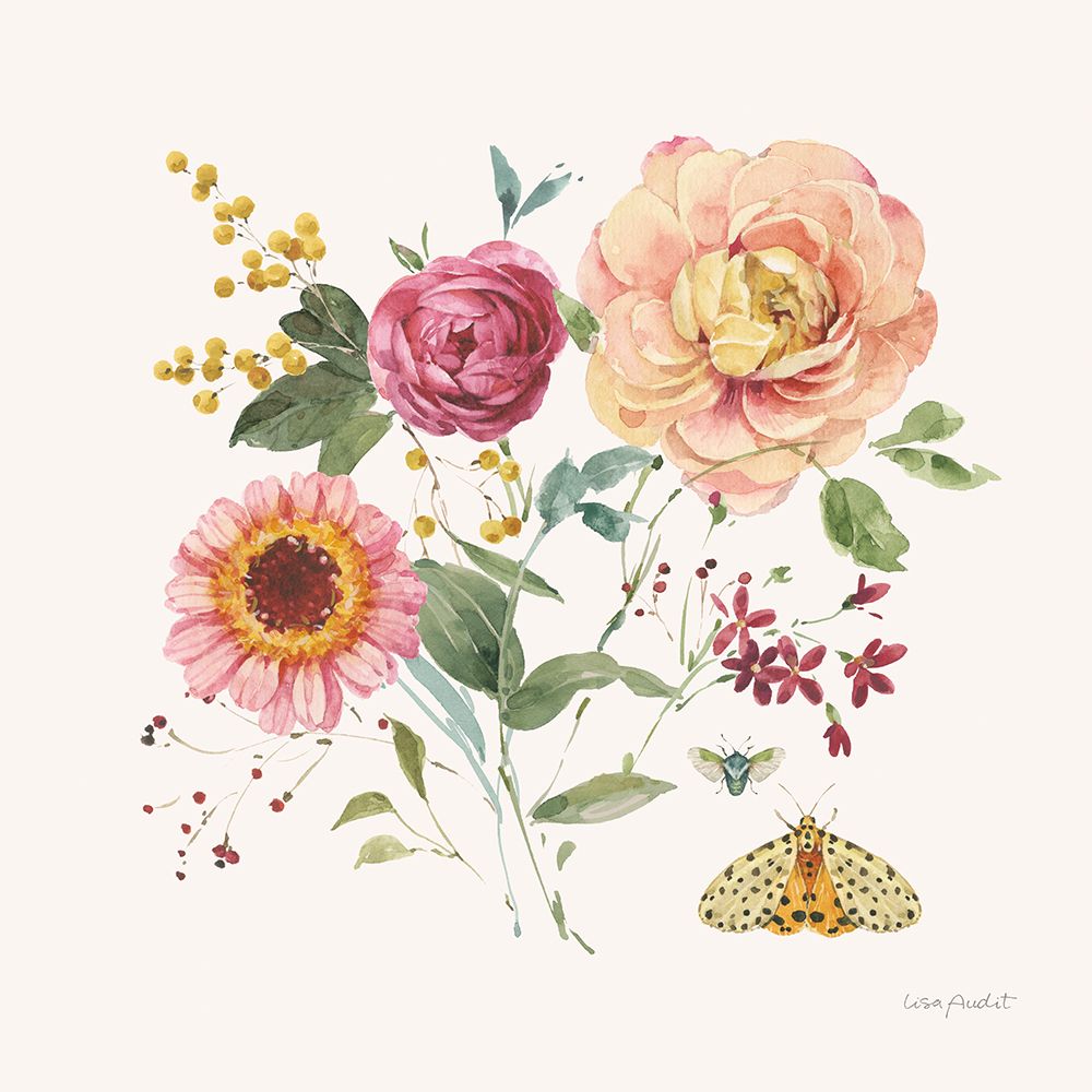 Caderno de Verão V — Audit, Lisa