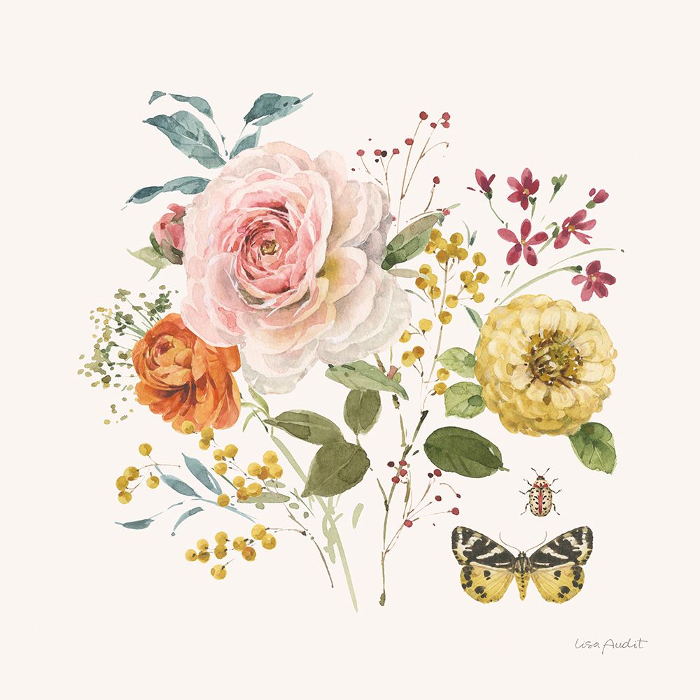 Caderno de Verão VI — Audit, Lisa