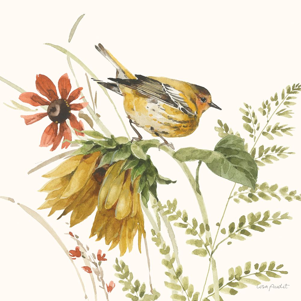 Sussurros de Girassol IV — Audit, Lisa