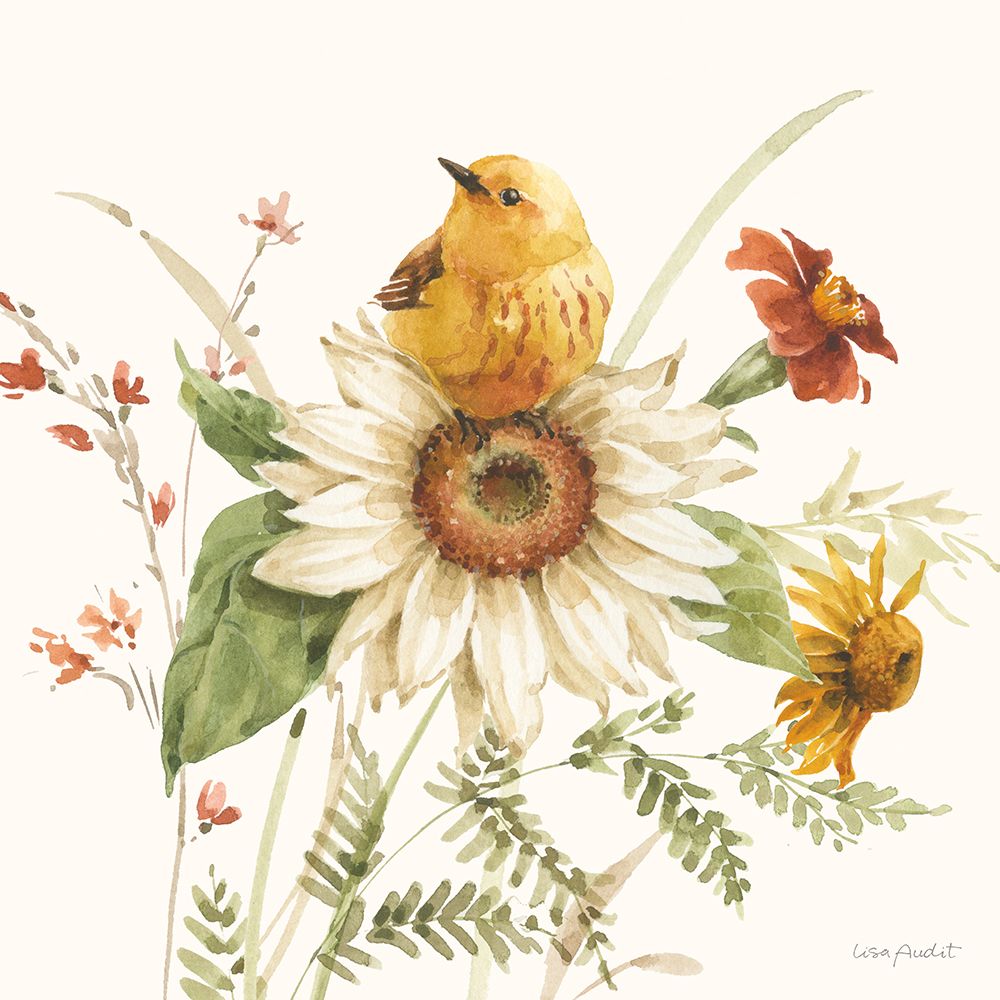 Sussurros de Girassol V — Audit, Lisa