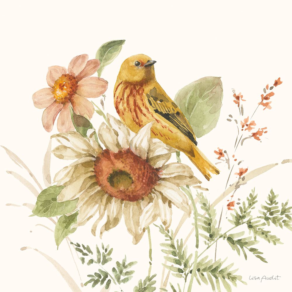 Sussurros de Girassol VI — Audit, Lisa