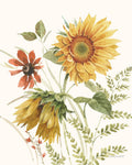 Sussurros de Girassol IX — Audit, Lisa