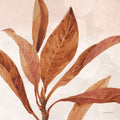 Terra 02 — Audit, Lisa
