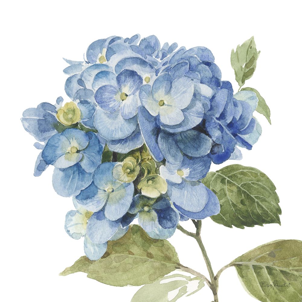 Sussurros de Azul IV — Audit, Lisa