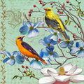 Oriole Bird Botanical — Art Licensing Studio