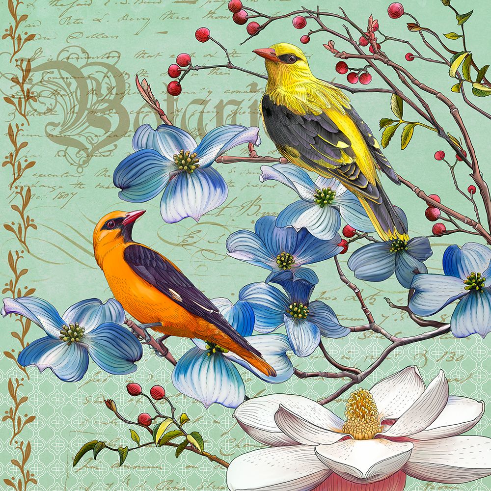 Oriole Bird Botanical — Art Licensing Studio