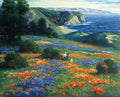 Floral Domain — Ghambaro
