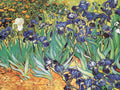 Van Gogh-Iris Garden — Masters Collection