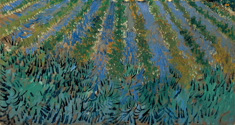 Van Gogh-Lavender at Saintes-Maries — Masters Collection