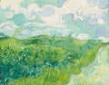 Green Wheat Fields Auvers - Vincent Vn Gogh — Masters Collection