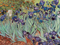 The Iris, 1889 — Masters Collection