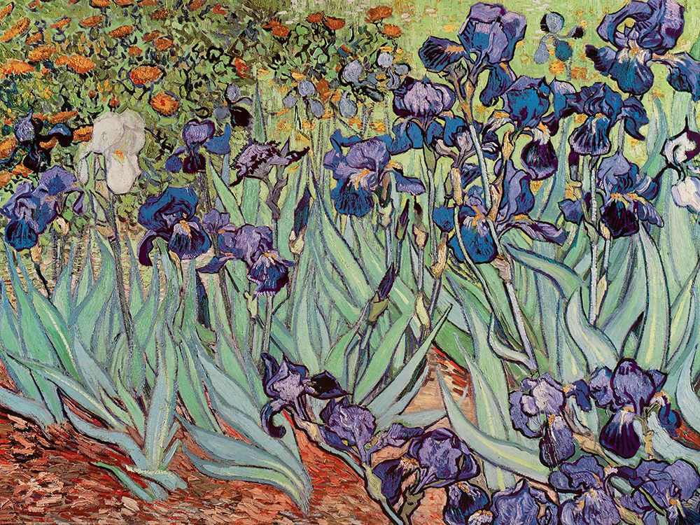The Iris, 1889 — Masters Collection