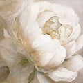 Peony Poses II — Sasha