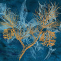 Teal Garden Winter — Lavoie, Tina