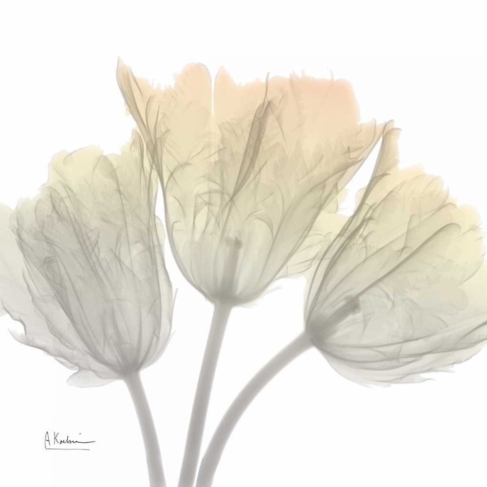 Tulipas de Domingo de Manhã — Koetsier, Albert