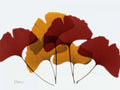Ginkgo no Outono — Koetsier, Albert