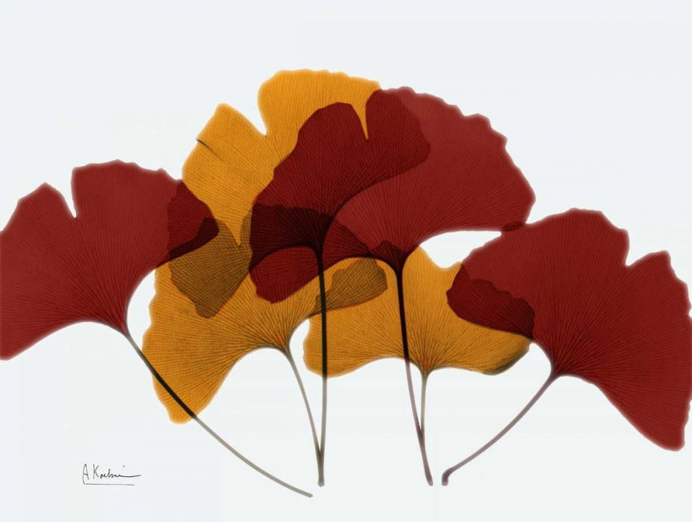Ginkgo no Outono — Koetsier, Albert