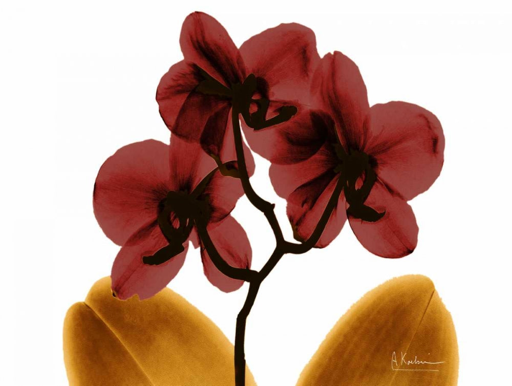 Orquídea no Outono — Koetsier, Albert