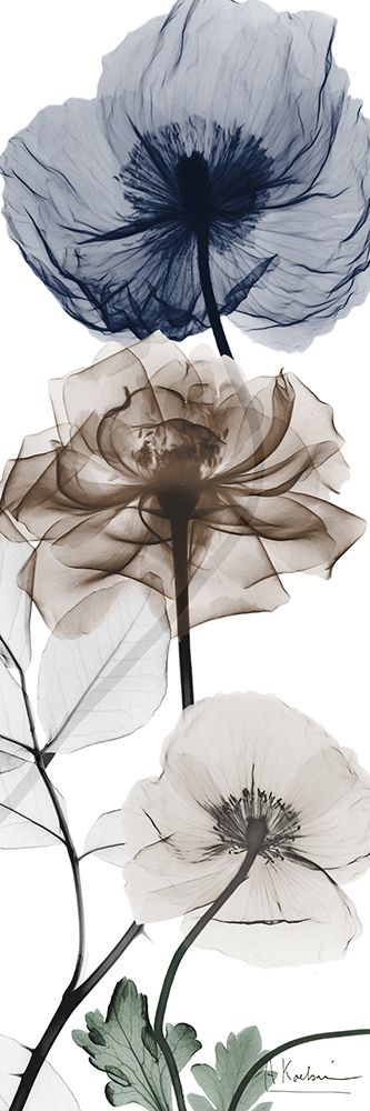 Preparação Gloriosa 1 — Koetsier, Albert