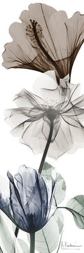 Preparação Gloriosa 2 — Koetsier, Albert