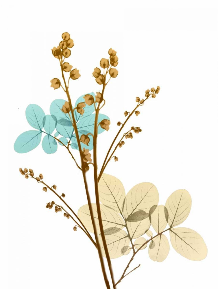 Flor do Deserto 1 — Koetsier, Albert